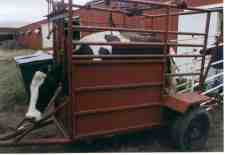 Hydraulic Hoof Trimming Chute
